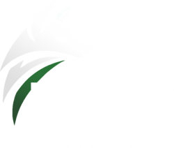 borzgames.com